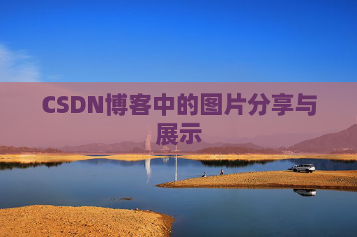 CSDN博客中的图片分享与展示